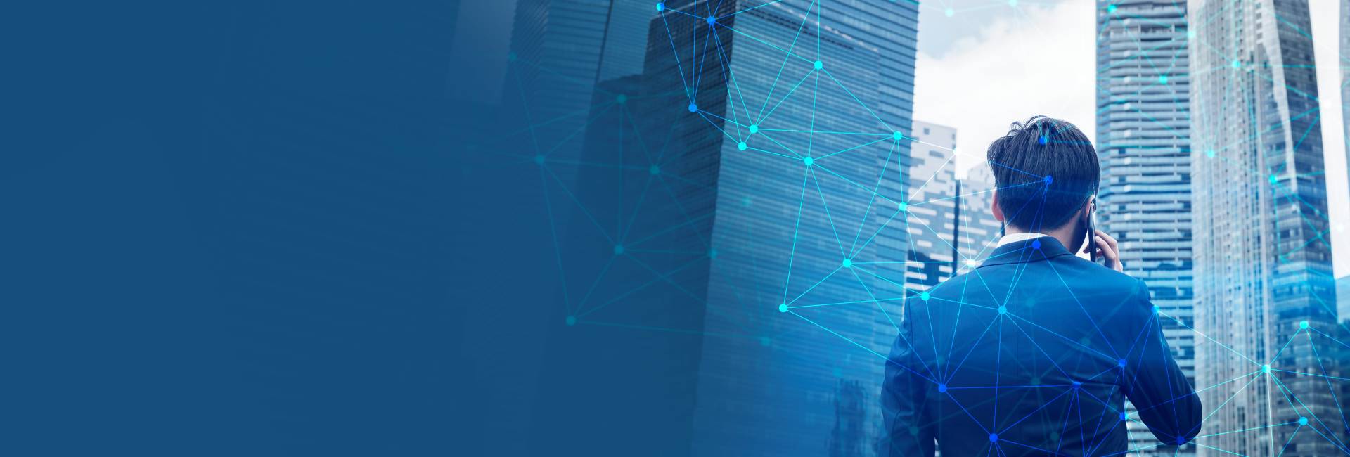 Professional IT Support Services